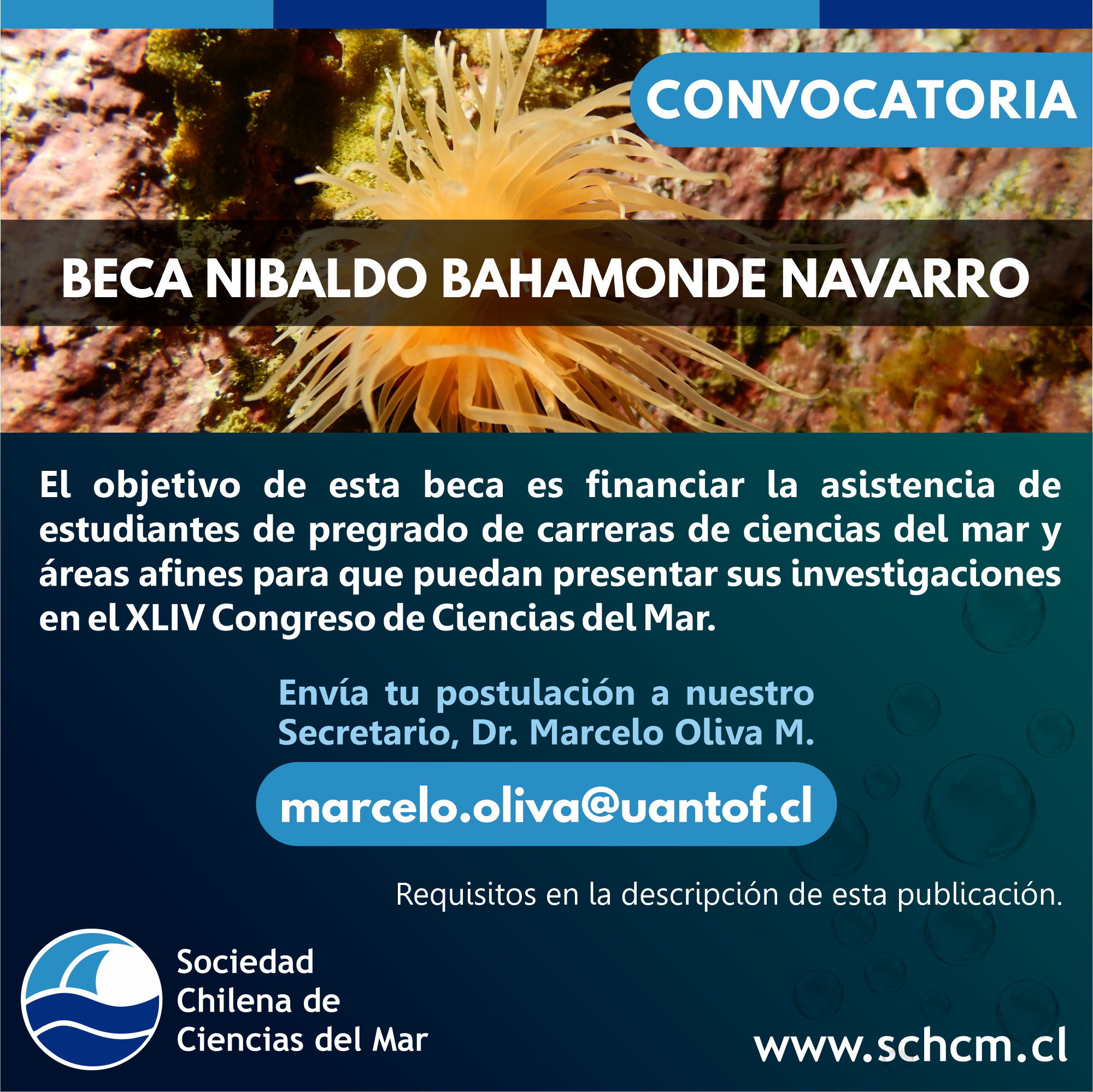 Convocatoria Beca Nibaldo Bahamonde Navarro 2025